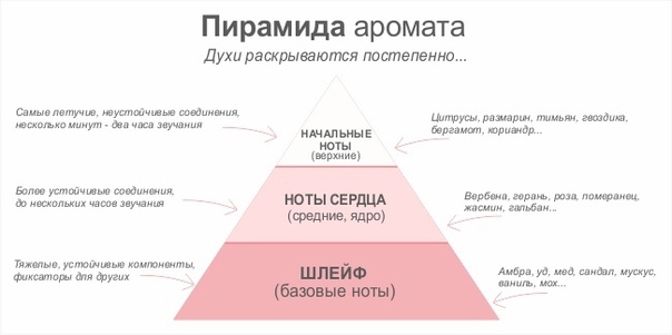 Пирамида аромата Пирамида аромата