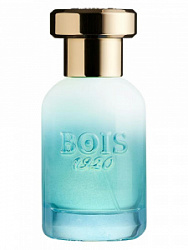 Bois 1920 Marasma