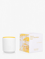 Maison Francis Kurkdjian Les Tamaris candle
